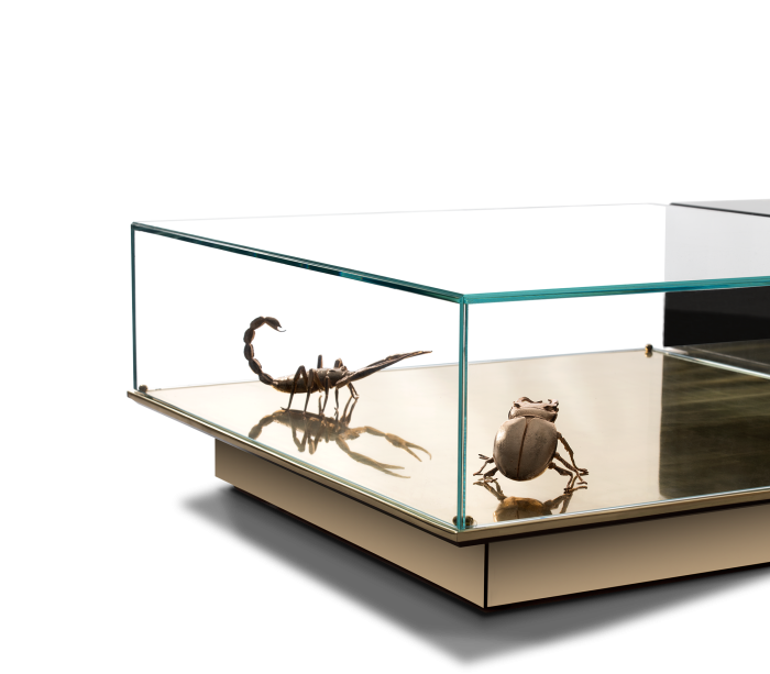 METAMORPHOSIS - Image 4