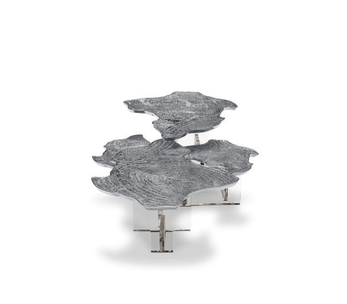 MONET SILVER - Image 3