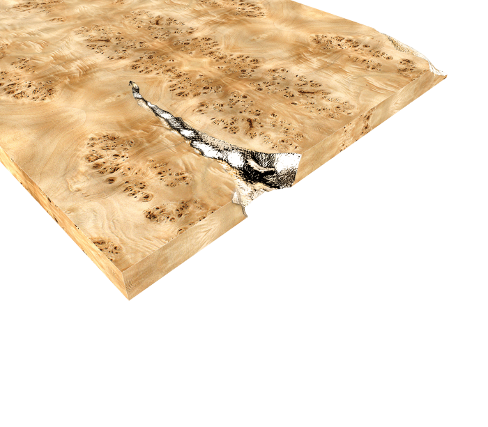 EMPIRE POPLAR - Image 2