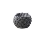 Dot - Image 8
