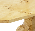 BONSAI POPLAR ROOT - Image 6