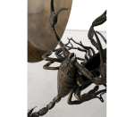 METAMORPHOSIS - Image 7