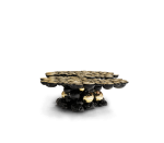 NEWTON - Image 3