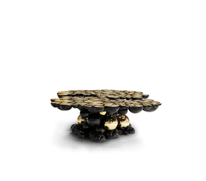 NEWTON - Image 3