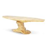 BONSAI POPLAR ROOT