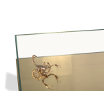 METAMORPHOSIS - Image 6