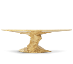 BONSAI POPLAR ROOT - Image 3