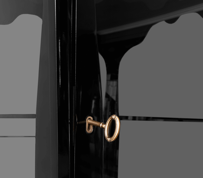 PALATINO DISPLAY CASE - Image 6