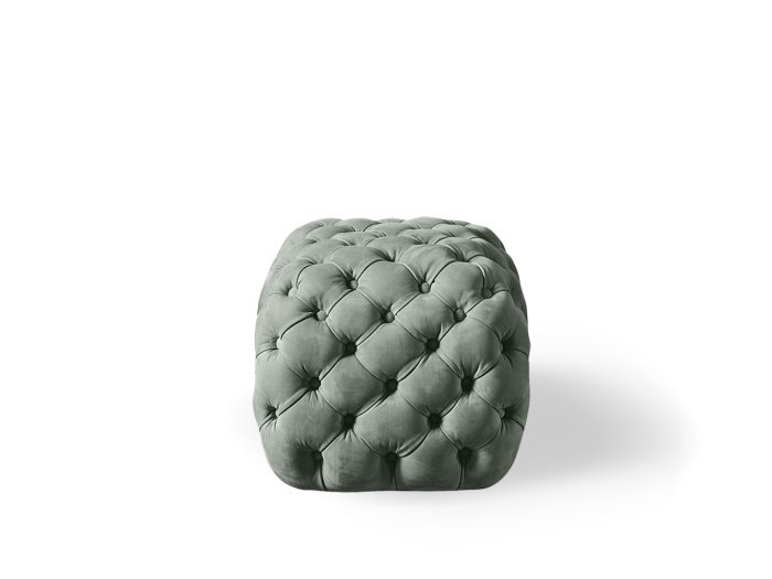 Turtle - Image 1