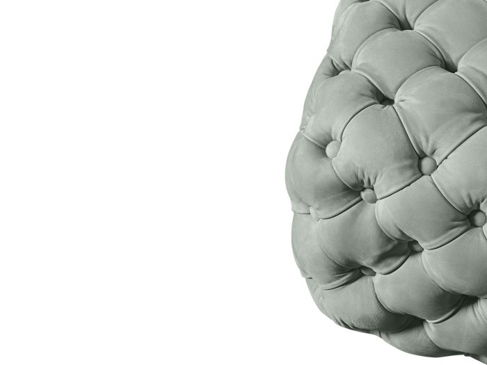 Turtle - Image 2