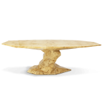 BONSAI POPLAR ROOT - Image 2
